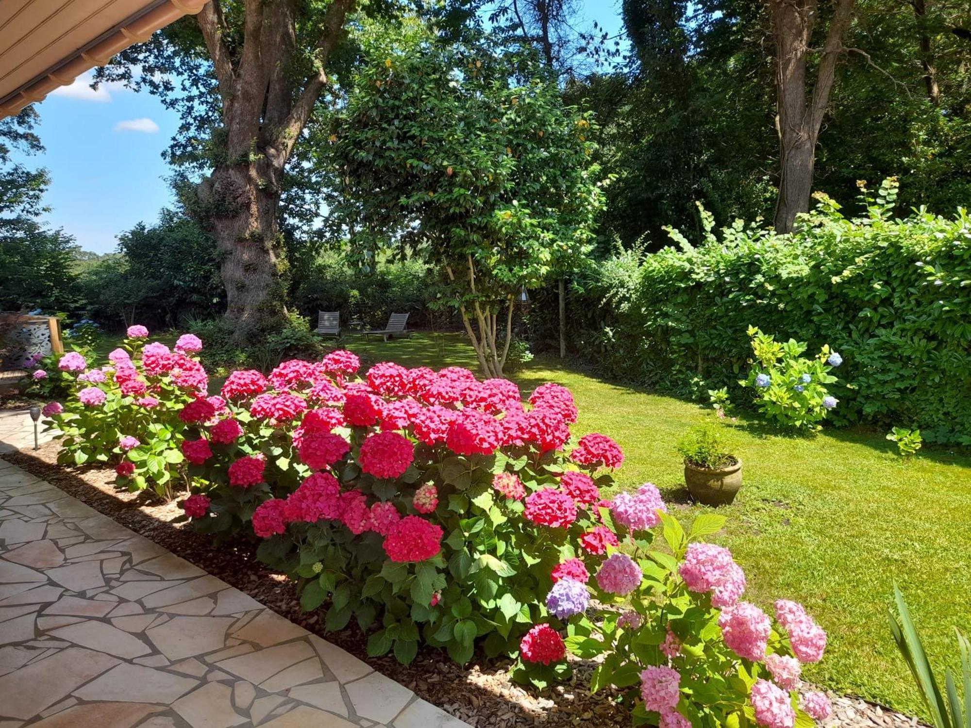 Bed and Breakfast La Clairiere Du Seignanx Saint-Martin-de-Seignanx Екстер'єр фото
